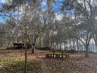 Petroglifos de Cabrojo
